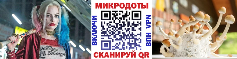 закладка  Новый Оскол  Псилоцибиновые грибы GOLDEN TEACHER 